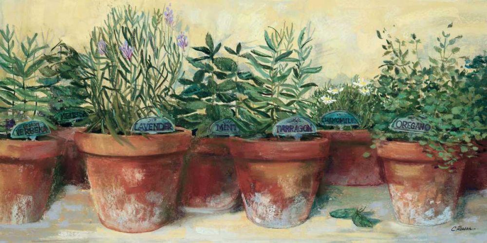 Potted Herbs I art print by Carol Rowan for $57.95 CAD