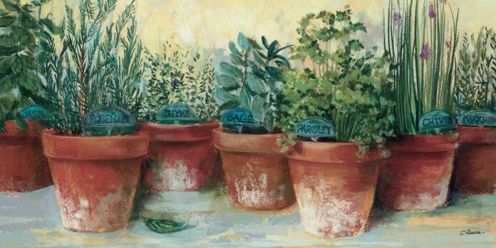 Potted Herbs II art print by Carol Rowan for $57.95 CAD