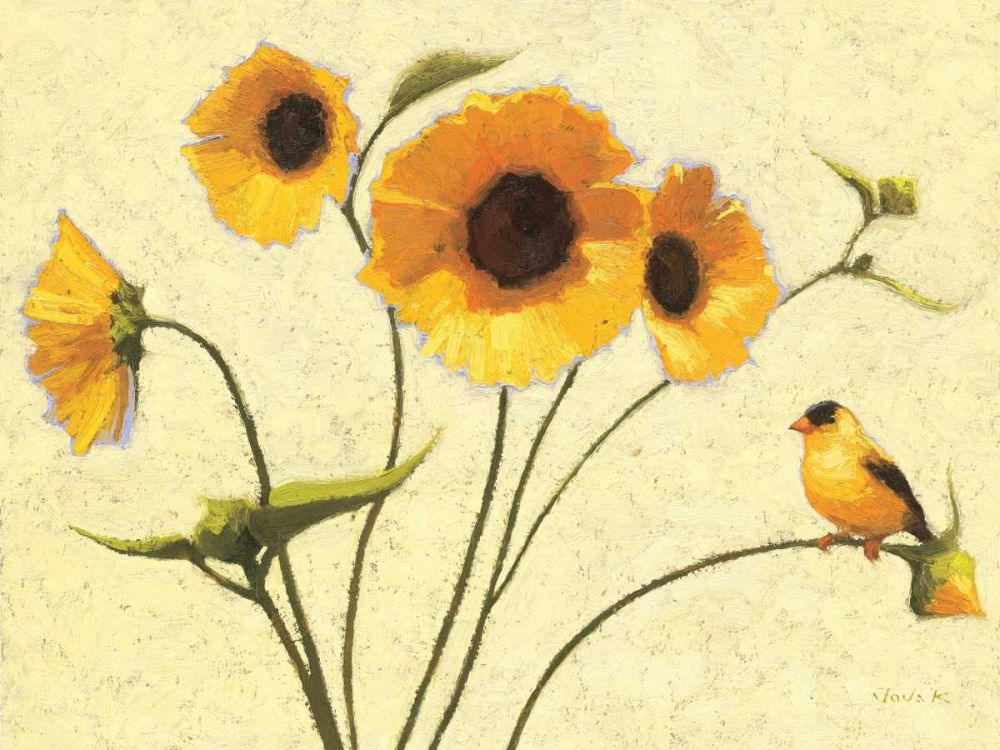 Sunny Flowers IV art print by Shirley Novak for $57.95 CAD