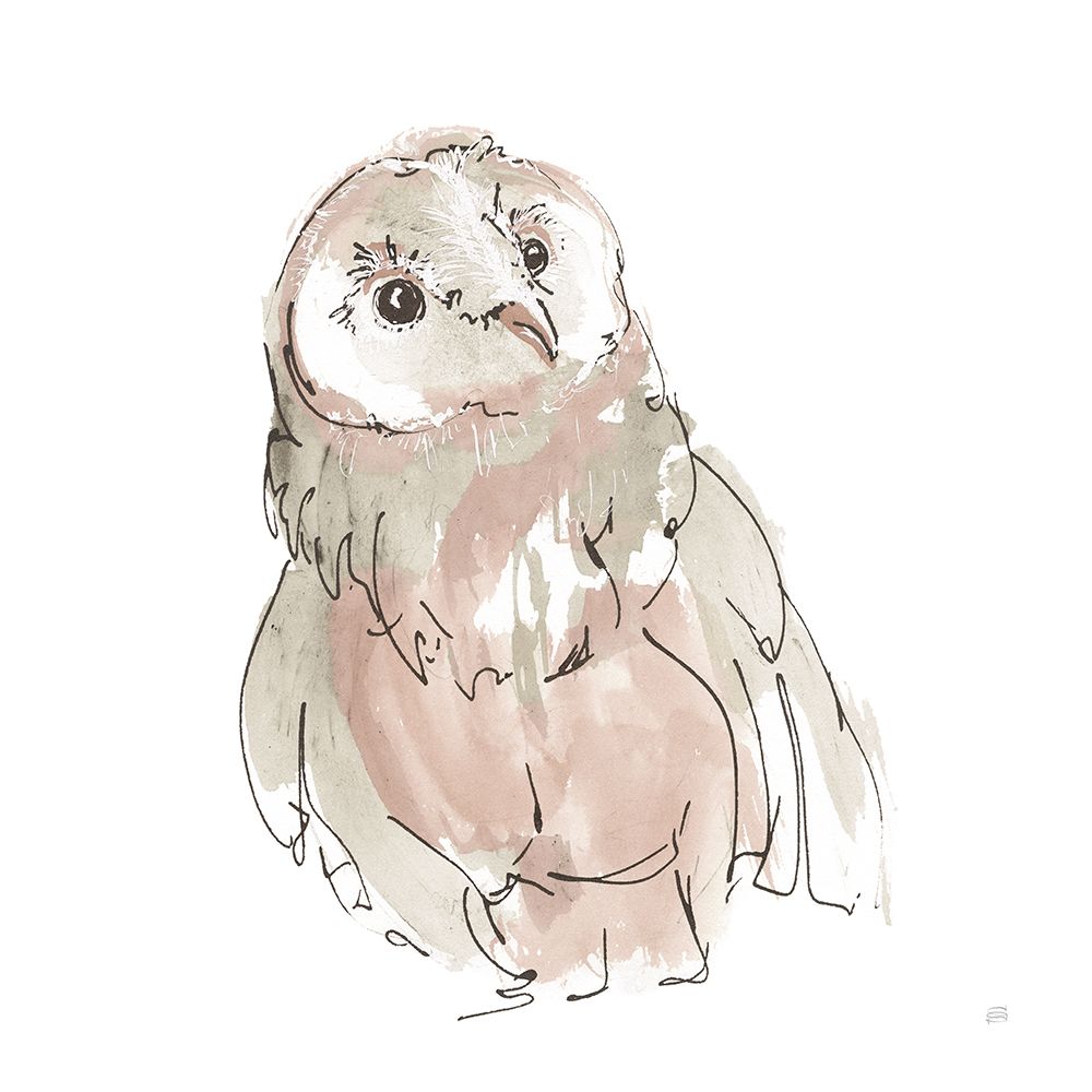 Barn Owl V Honeybloom art print by Chris Paschke for $57.95 CAD