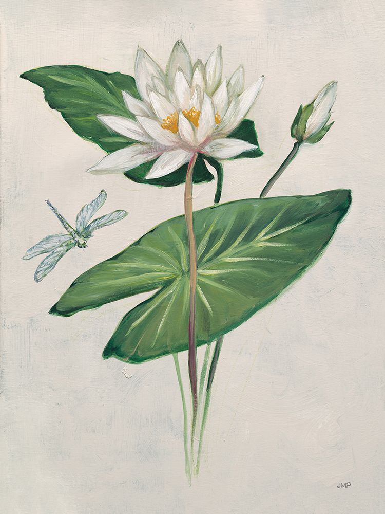 Graceful Lily art print by Julia Purinton for $57.95 CAD