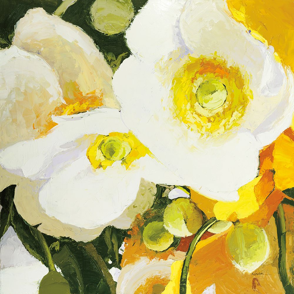 White Anemones Up Close art print by Shirley Novak for $57.95 CAD