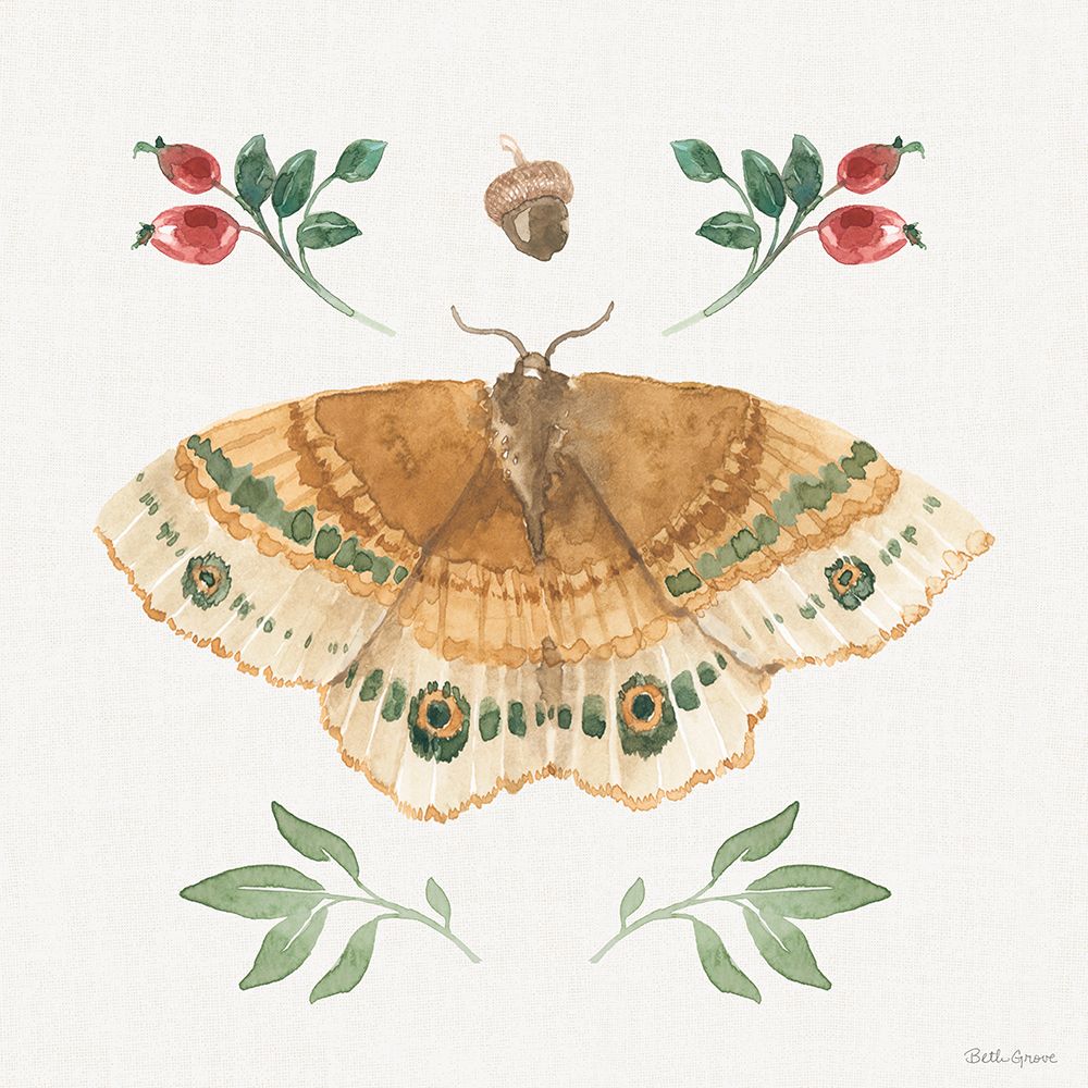 Forest Finds II art print by Beth Grove for $57.95 CAD