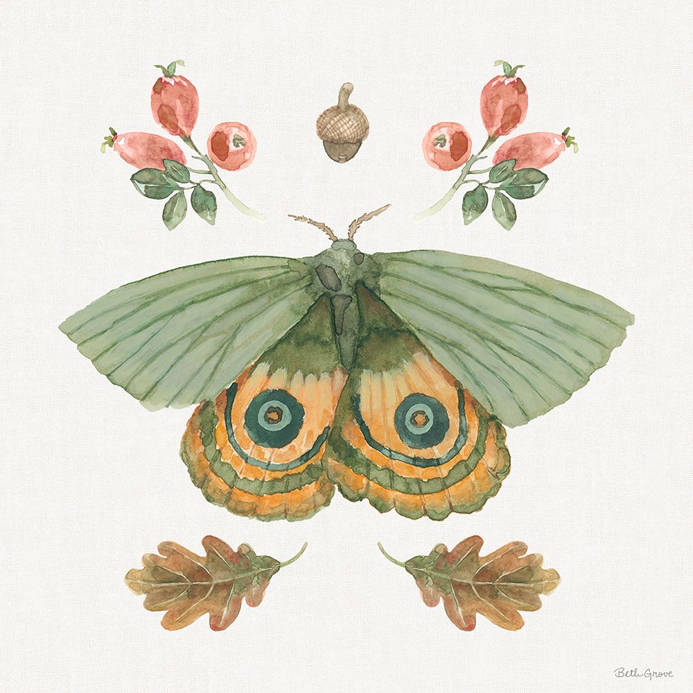 Forest Finds III art print by Beth Grove for $57.95 CAD