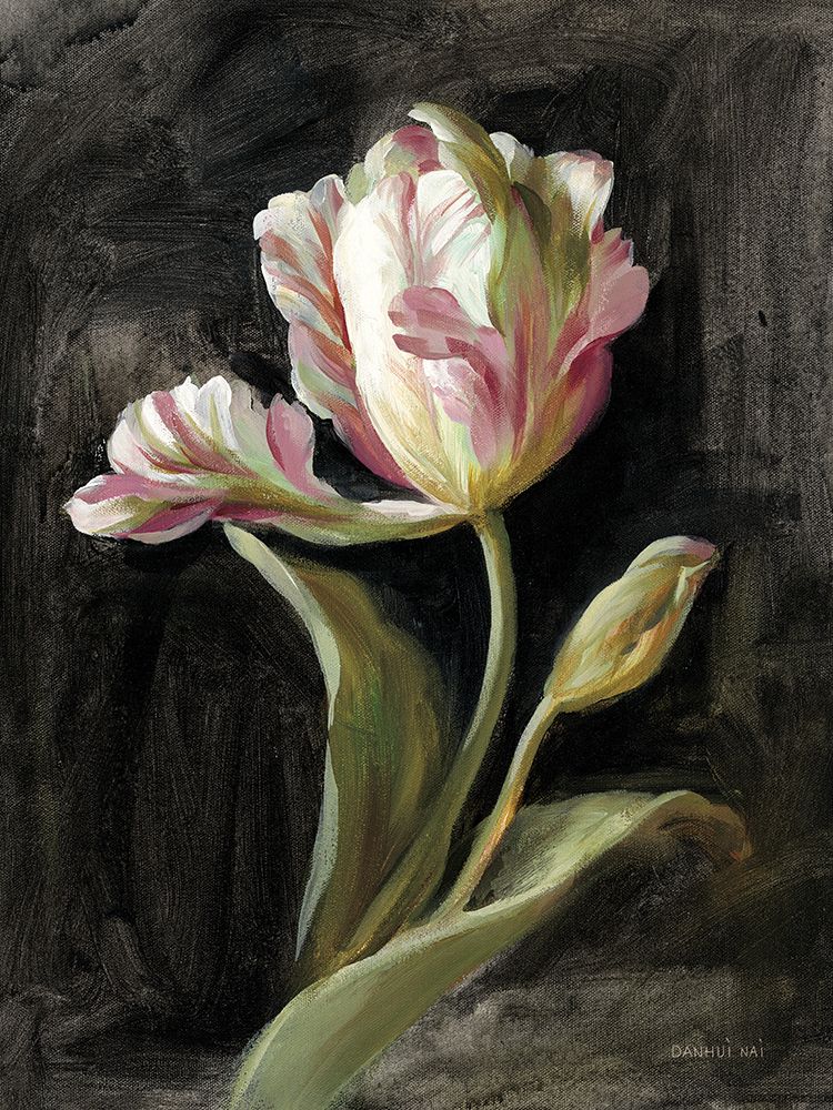 Tulip on Black art print by Danhui Nai for $57.95 CAD