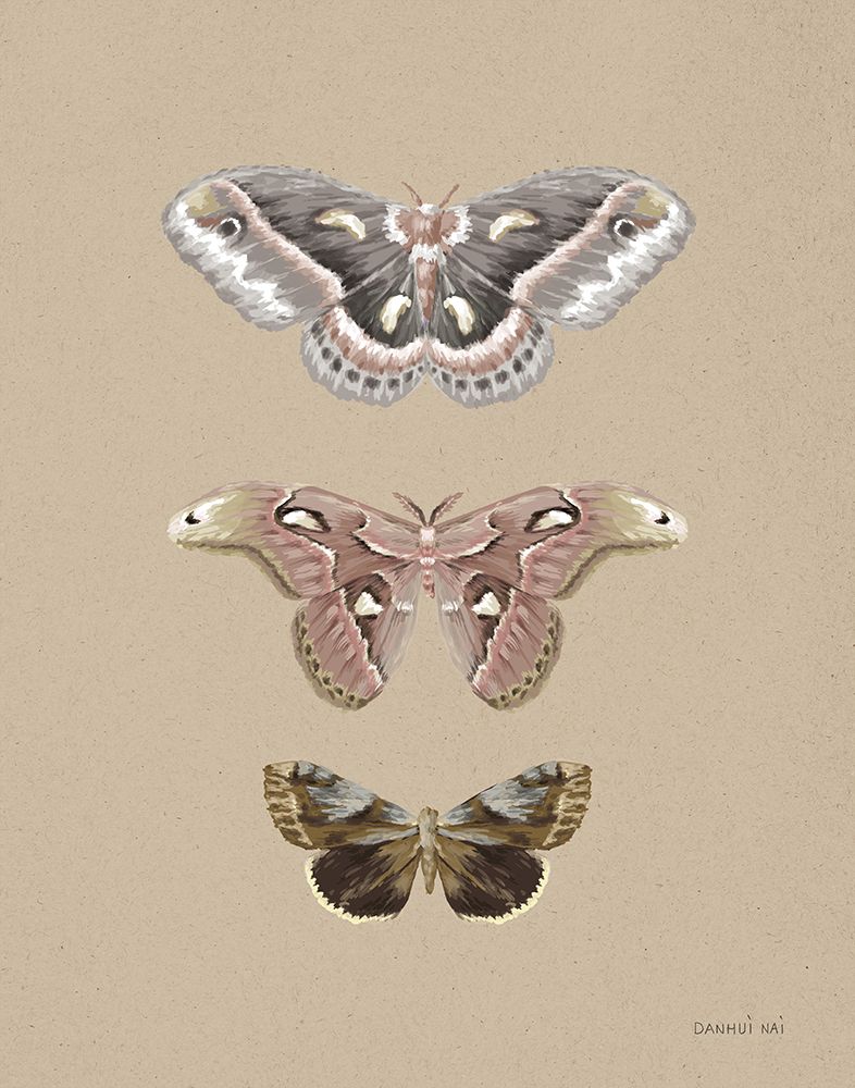 Beauty of the Forest I Neutral art print by Danhui Nai for $57.95 CAD