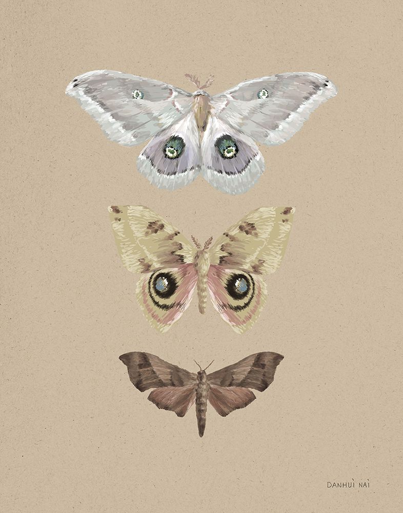 Beauty of the Forest II Neutral art print by Danhui Nai for $57.95 CAD