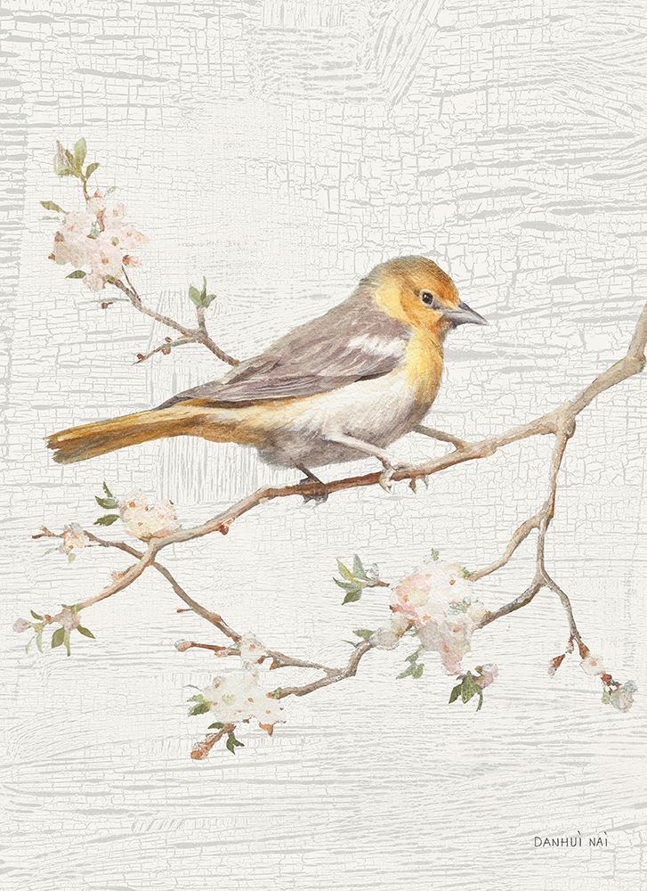 Northern Oriole Flipped Vintage Crop art print by Danhui Nai for $57.95 CAD