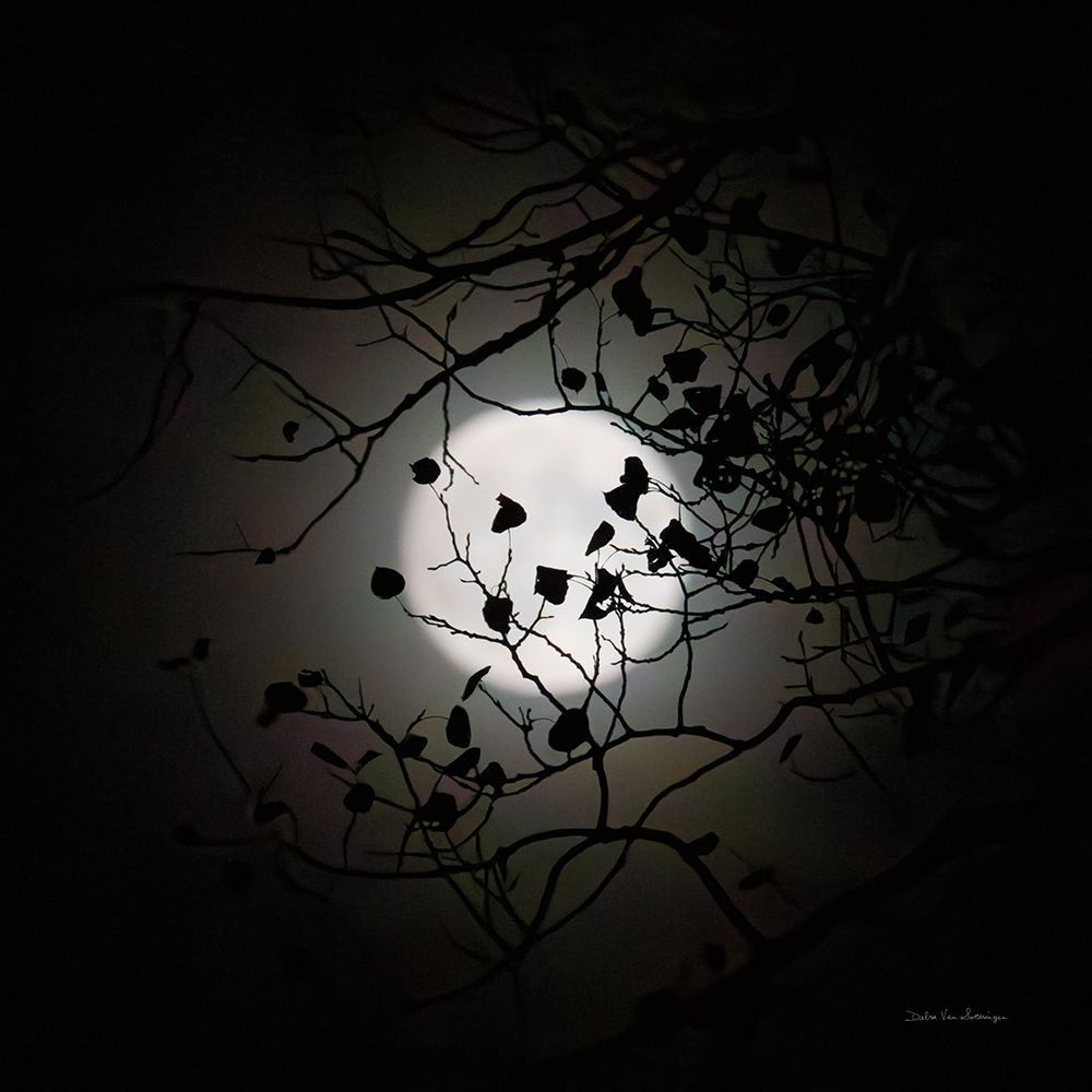 Vermont Blue Moon art print by Debra Van Swearingen for $57.95 CAD
