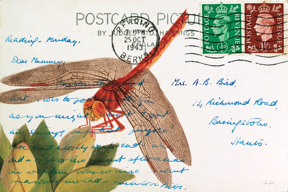 Dragonfly Postcard II art print by Deborah Revell for $57.95 CAD
