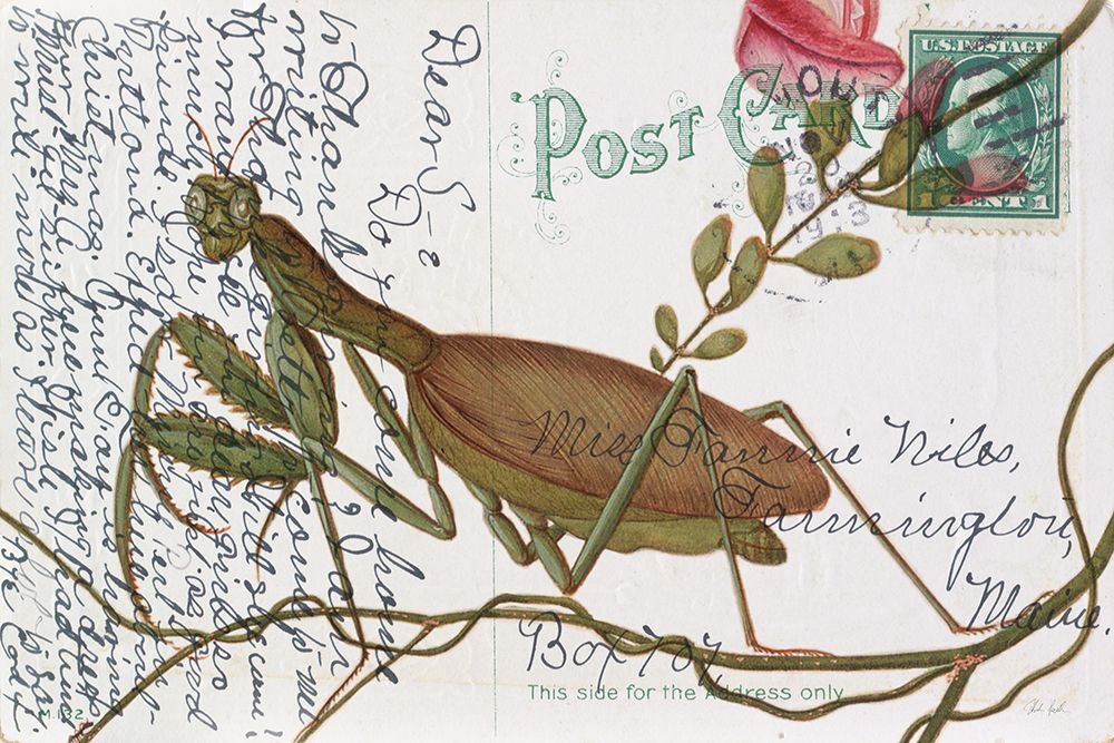 Praying Mantis Postcard art print by Deborah Revell for $57.95 CAD