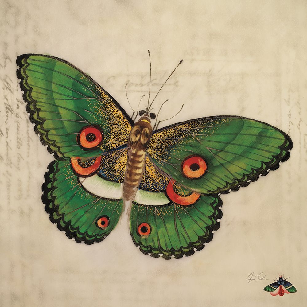 Vintage Green Butterfly art print by Deborah Revell for $57.95 CAD
