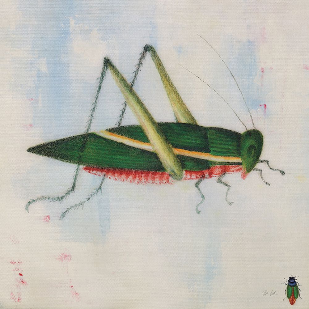 Green Grasshopper art print by Deborah Revell for $57.95 CAD