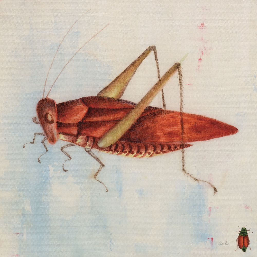 Red Grasshopper art print by Deborah Revell for $57.95 CAD