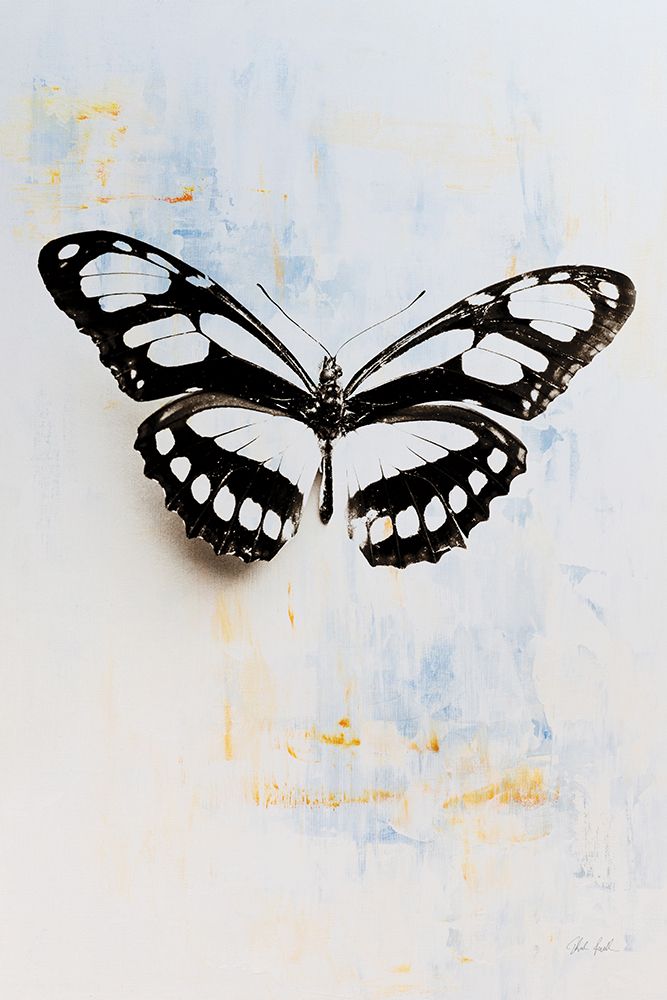 Butterfly II art print by Deborah Revell for $57.95 CAD