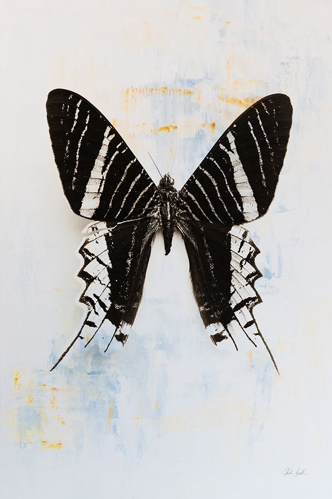 Butterfly III art print by Deborah Revell for $57.95 CAD