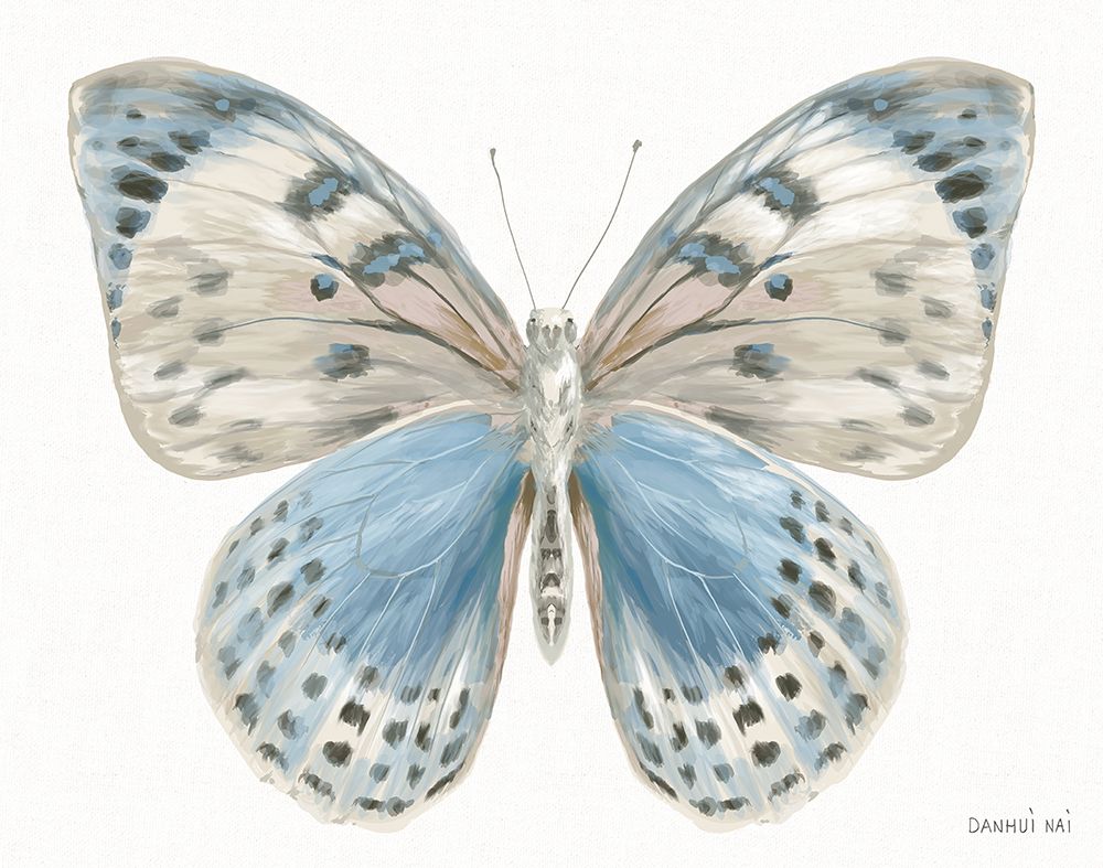 Beetles and Butterflies IV White art print by Danhui Nai for $57.95 CAD