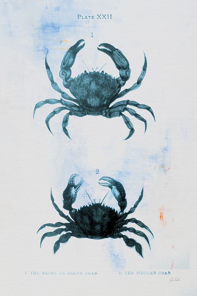 Blue Bay IV art print by Deborah Revell for $57.95 CAD