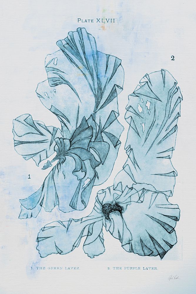 Blue Bay V art print by Deborah Revell for $57.95 CAD