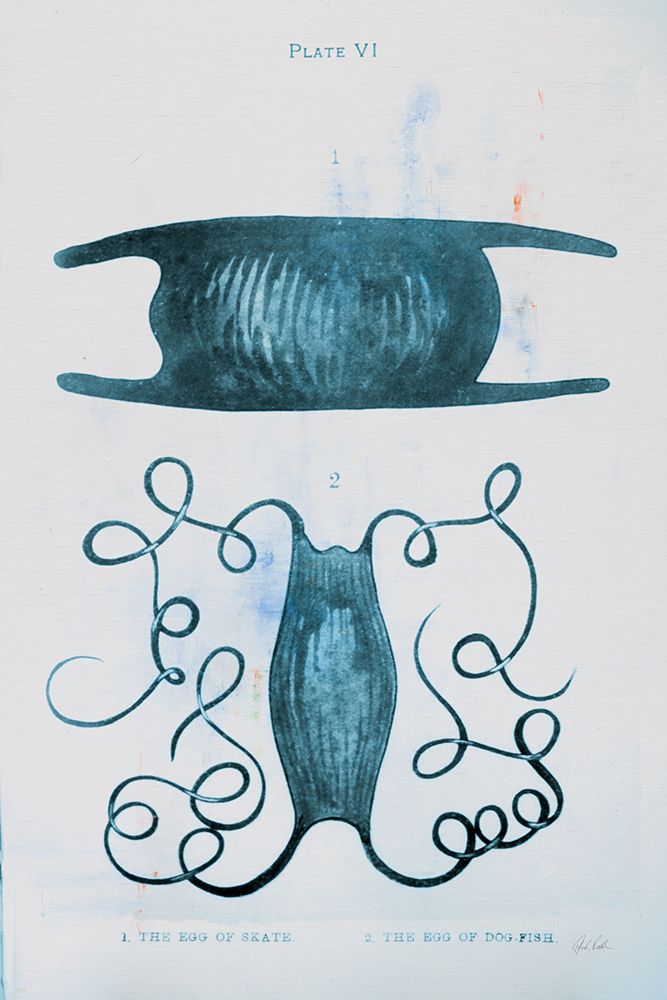 Blue Bay VI art print by Deborah Revell for $57.95 CAD