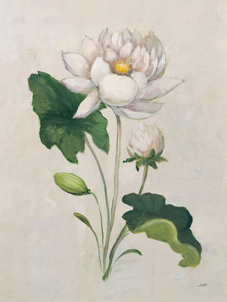 Graceful Lily II art print by Julia Purinton for $57.95 CAD