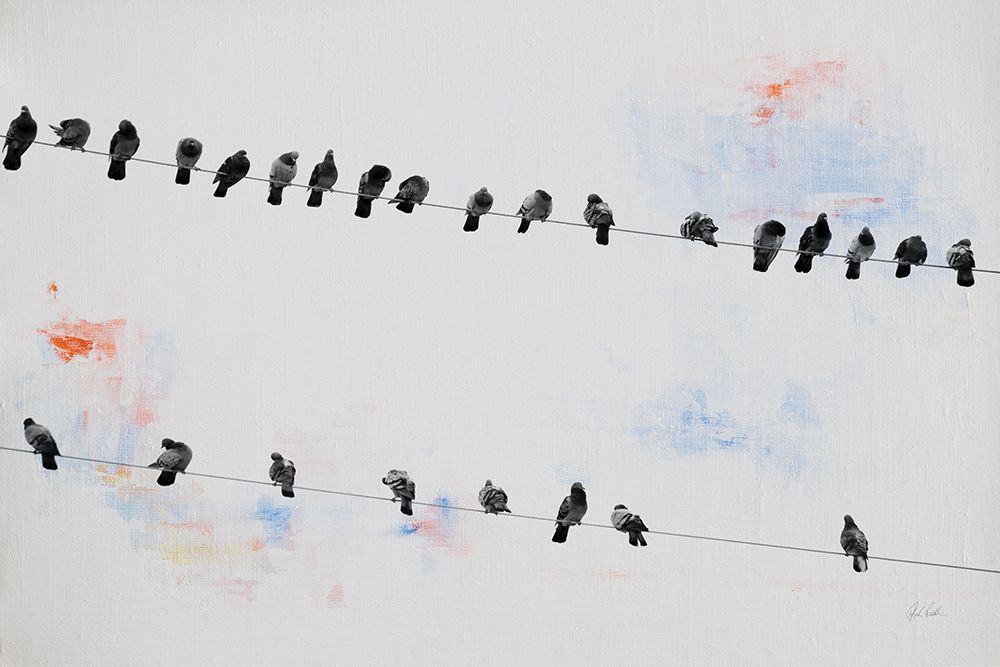 Birds on a Wire art print by Deborah Revell for $57.95 CAD