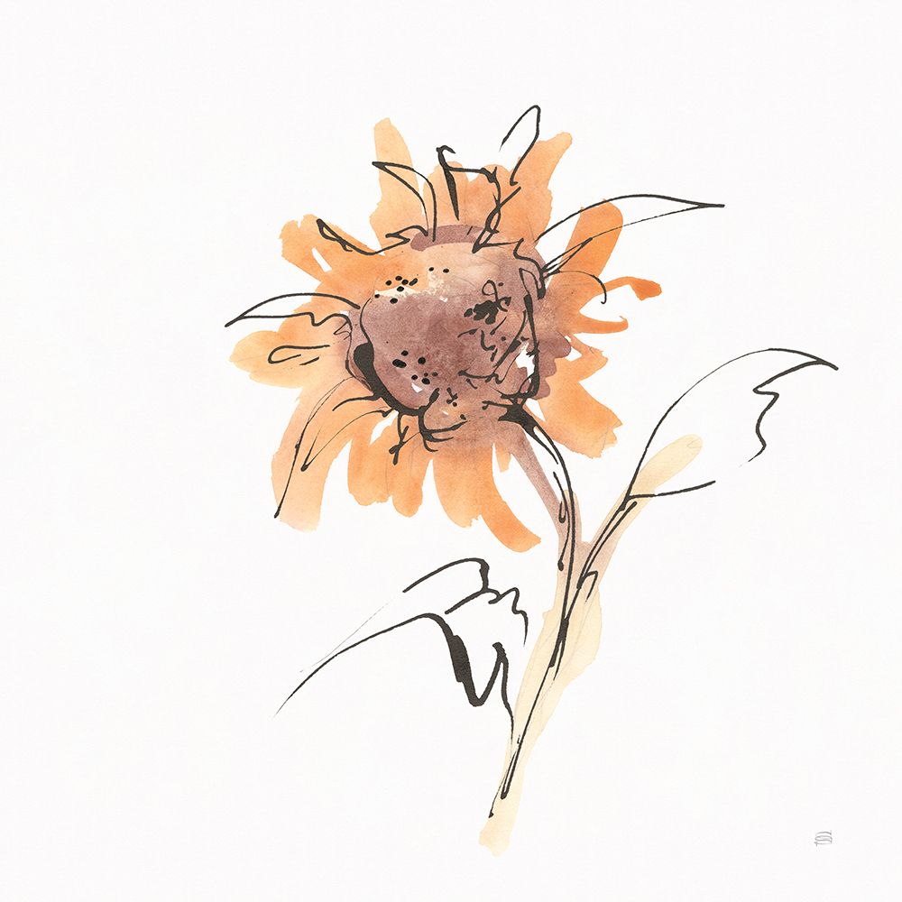 Apricot Sunflower II art print by Chris Paschke for $57.95 CAD