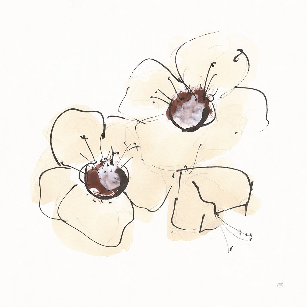 Ivory Poppies IV art print by Chris Paschke for $57.95 CAD