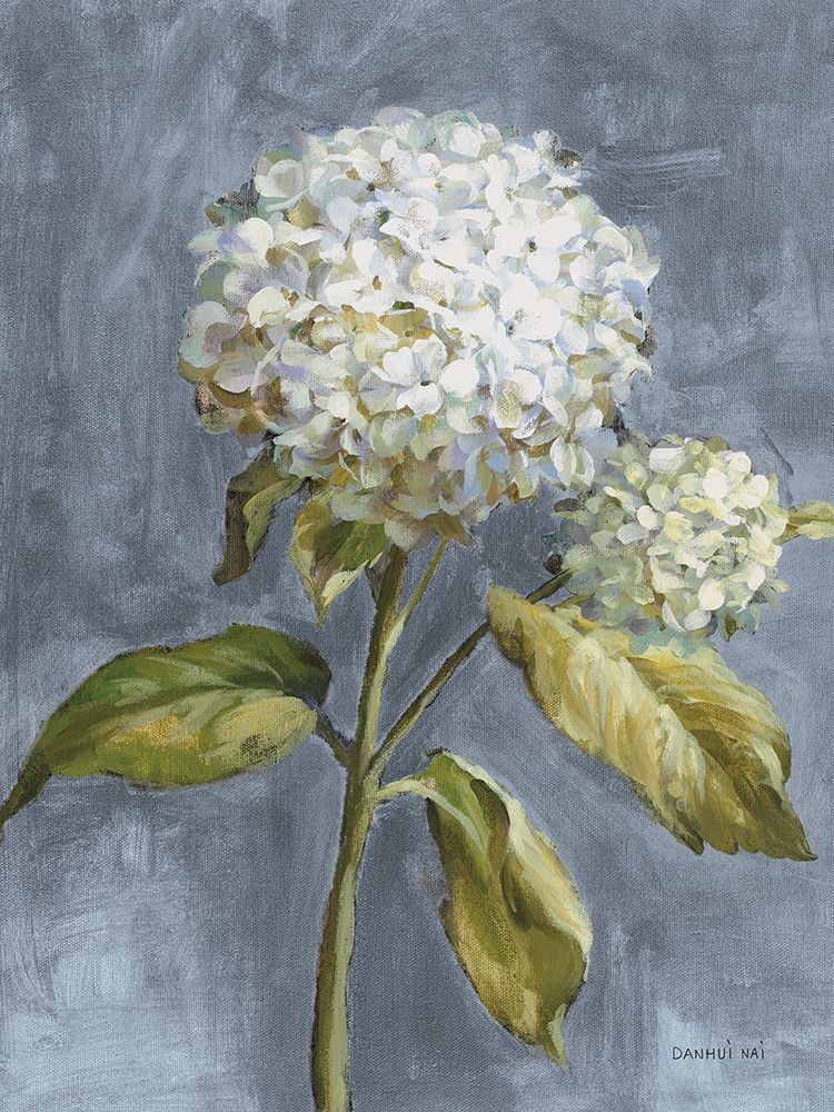 Hydrangea on Dusty Blue art print by Danhui Nai for $57.95 CAD