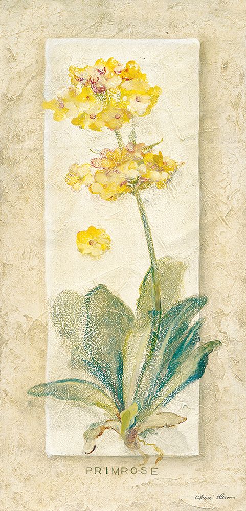 Primrose Light art print by Cheri Blum for $57.95 CAD