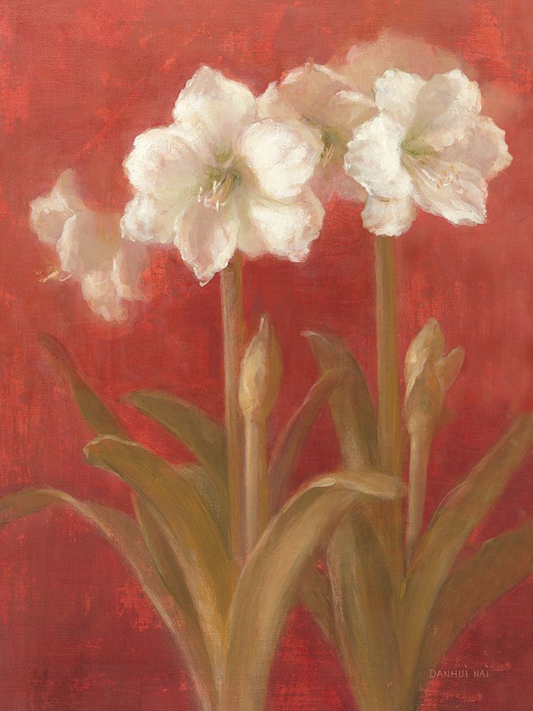 White Amaryllis on Red II art print by Danhui Nai for $57.95 CAD