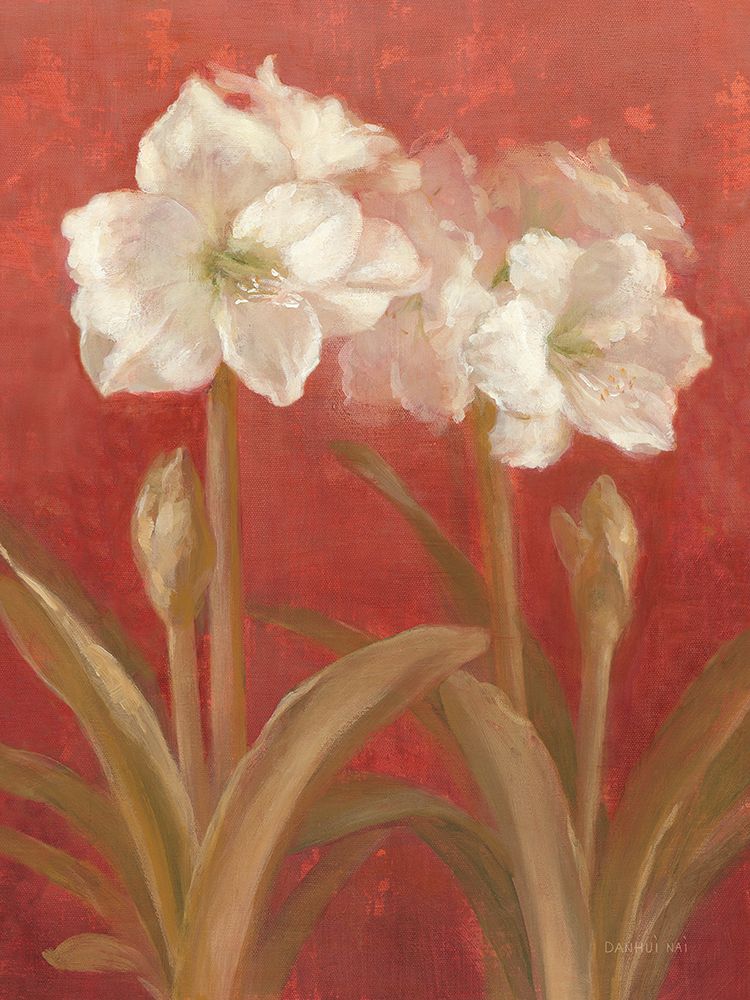 White Amaryllis on Red III art print by Danhui Nai for $57.95 CAD
