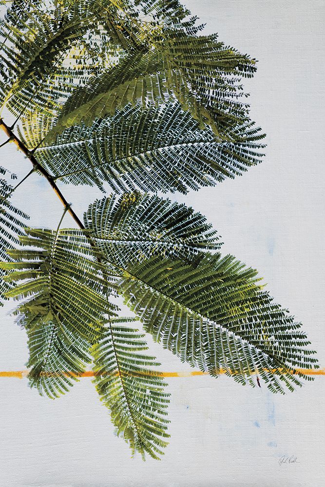 Palm Branch art print by Deborah Revell for $57.95 CAD