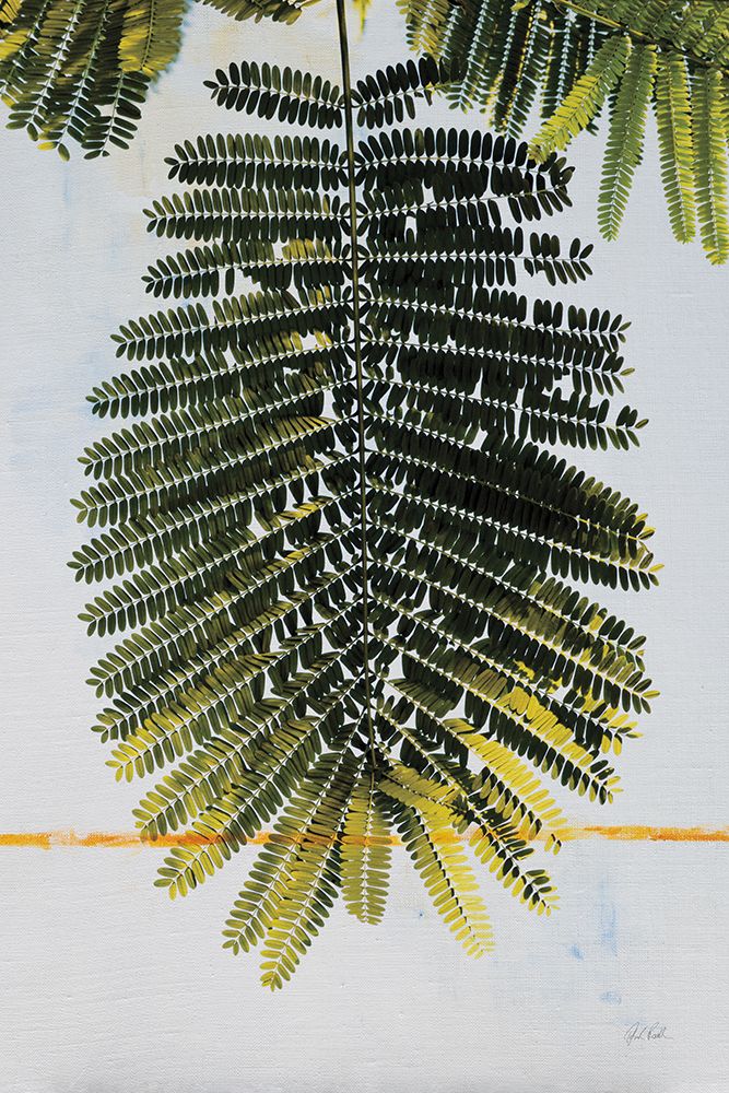 Single Palm art print by Deborah Revell for $57.95 CAD