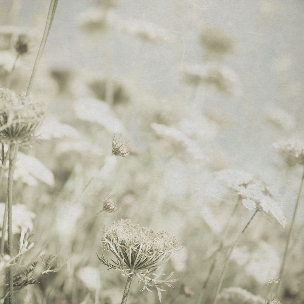 Wild Flowers IV No Texture art print by Deborah Revell for $57.95 CAD