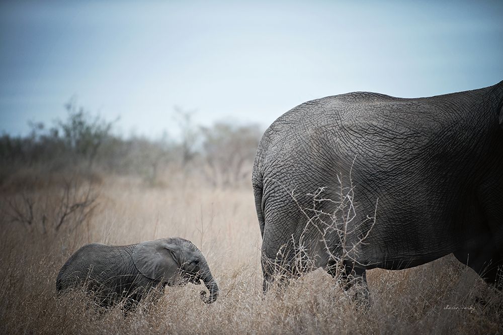 Ellie Mom and Baby art print by Sharon Vardy for $57.95 CAD