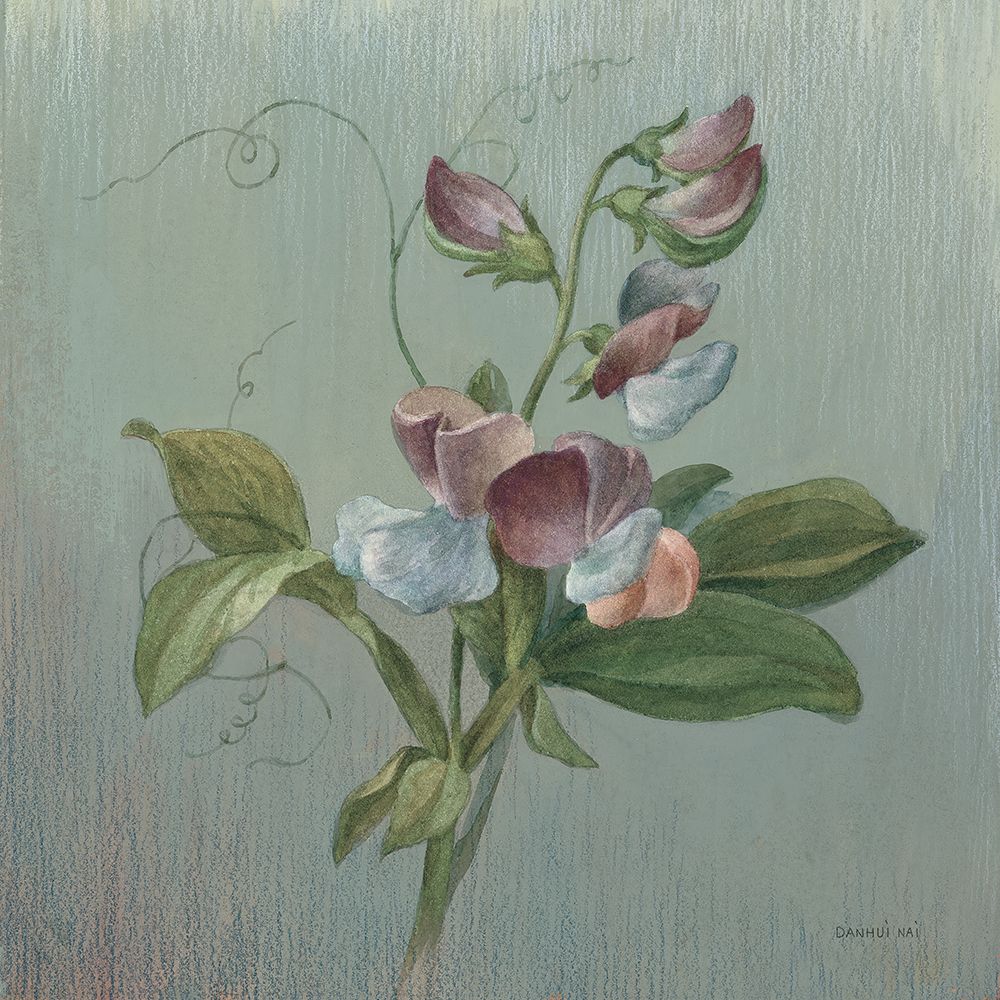 Cottage Sweet Pea art print by Danhui Nai for $57.95 CAD