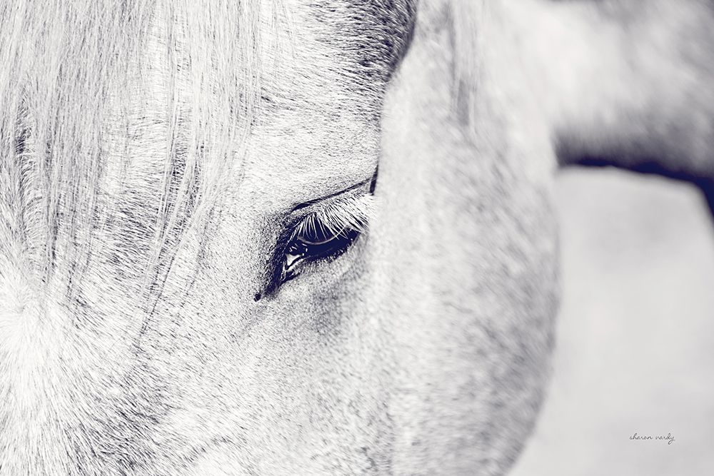 Horse Eye I art print by Sharon Vardy for $57.95 CAD