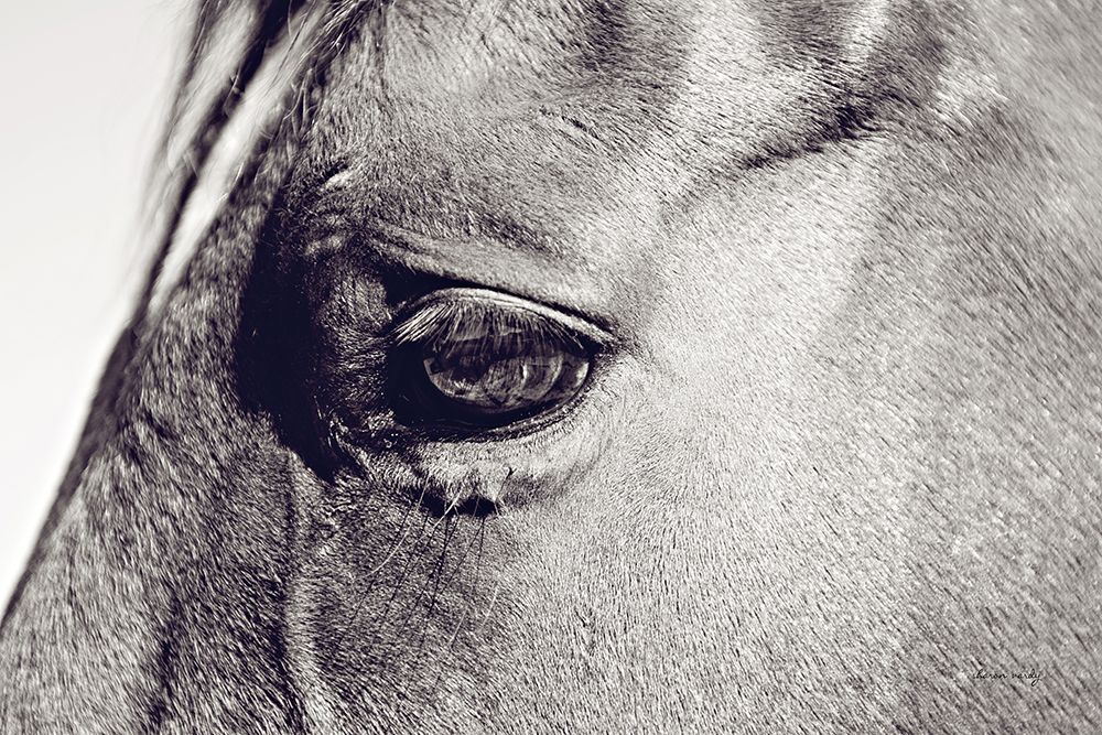 Horse Eye II art print by Sharon Vardy for $57.95 CAD