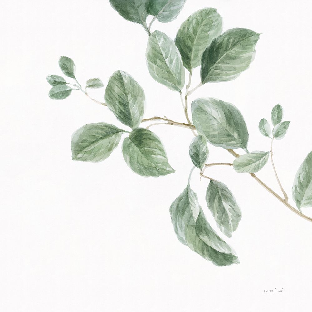 A Study of Leaves art print by Danhui Nai for $57.95 CAD