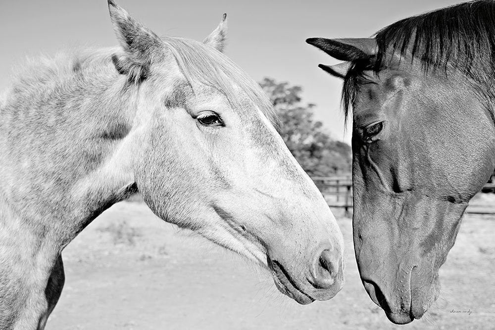 Two Horses BW art print by Sharon Vardy for $57.95 CAD