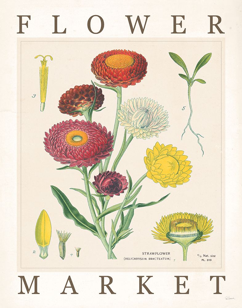 Flower Market Chart I art print by Sue Schlabach for $57.95 CAD