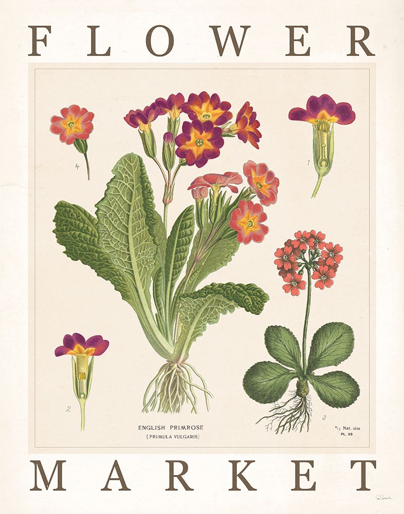 Flower Market Chart II art print by Sue Schlabach for $57.95 CAD