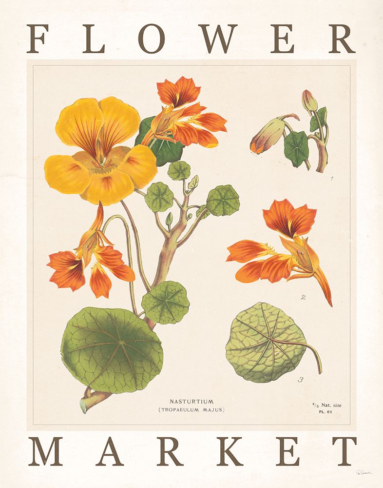 Flower Market Chart III art print by Sue Schlabach for $57.95 CAD
