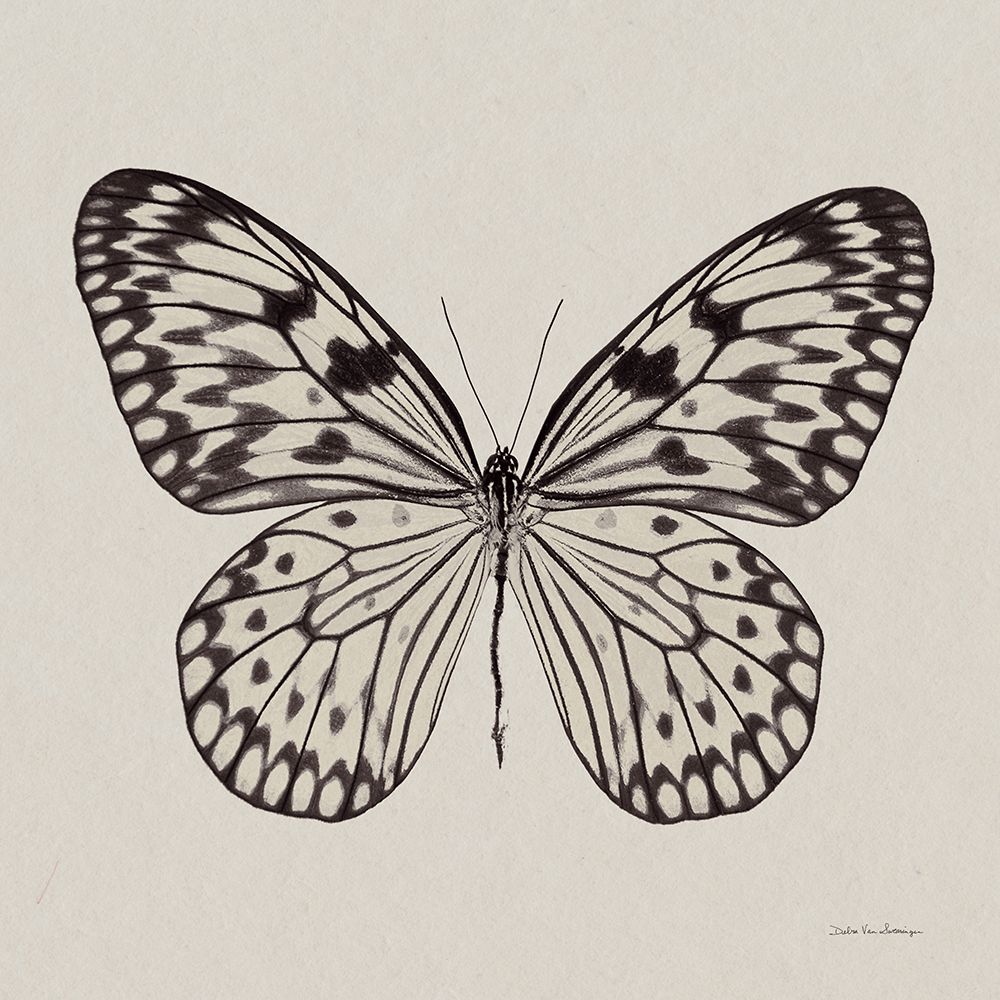 Butterfly V Gray art print by Debra Van Swearingen for $57.95 CAD