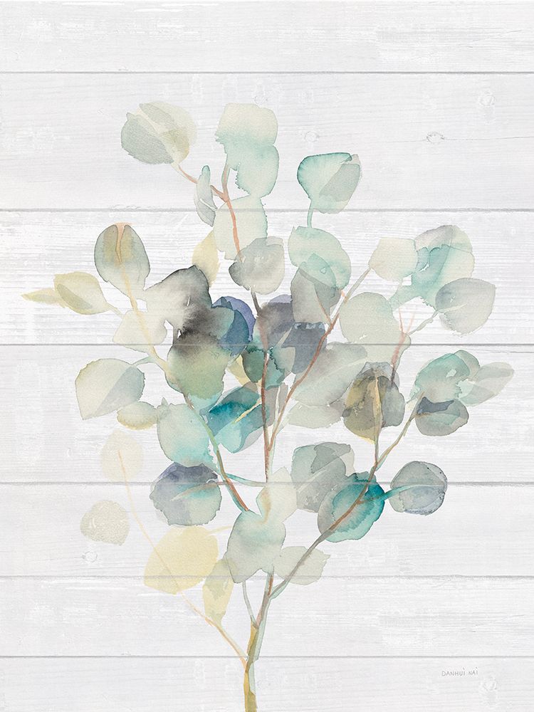 Eucalyptus III on Shiplap art print by Danhui Nai for $57.95 CAD