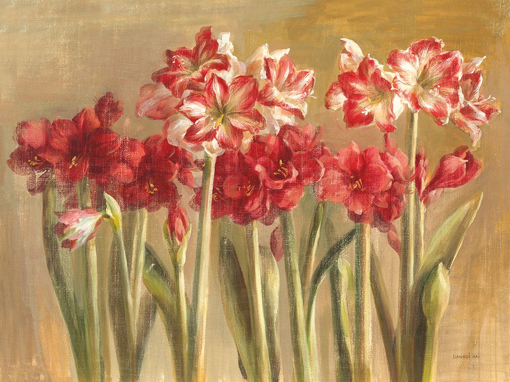 Winter Amaryllis art print by Danhui Nai for $57.95 CAD