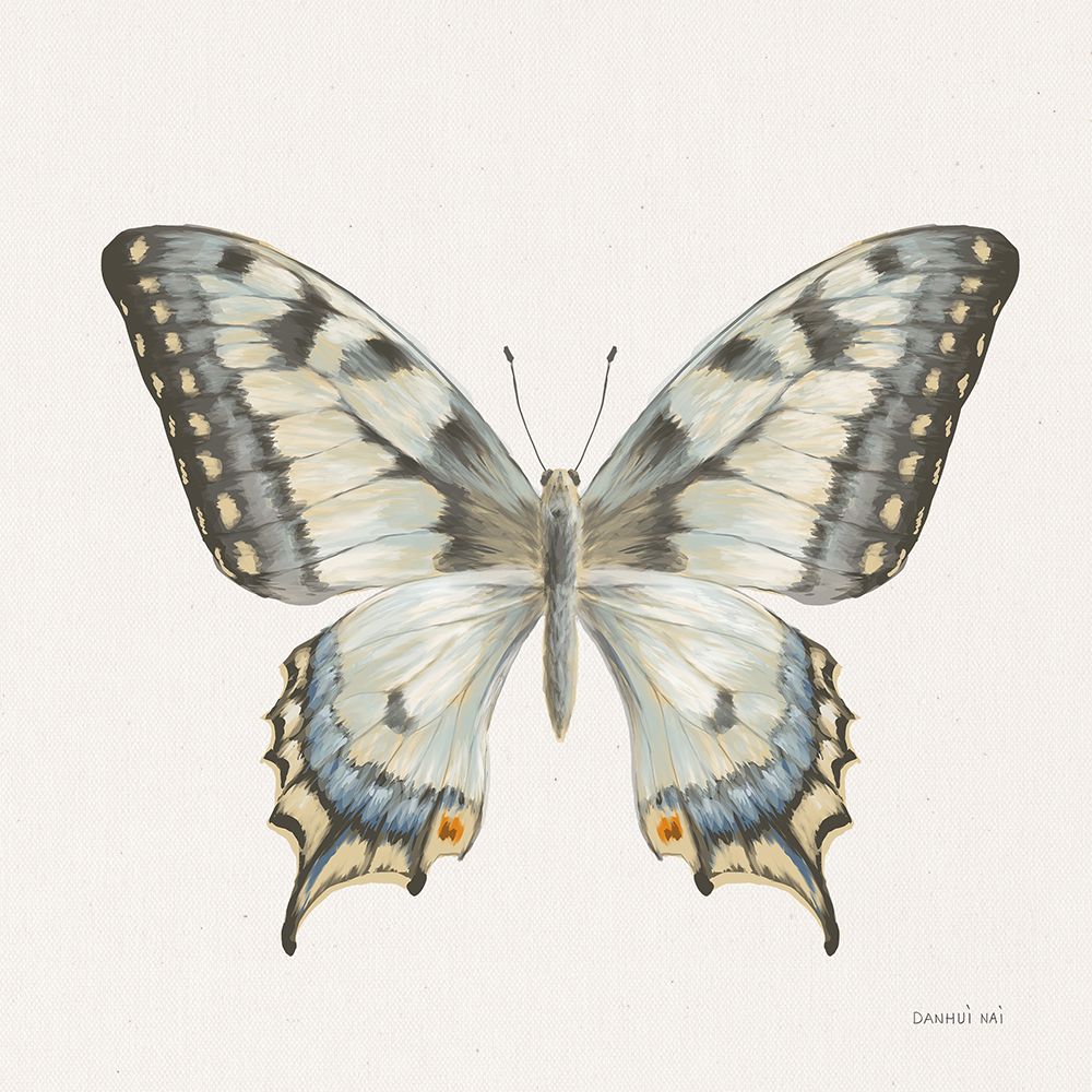 Beetles and Butterflies I Neutral art print by Danhui Nai for $57.95 CAD