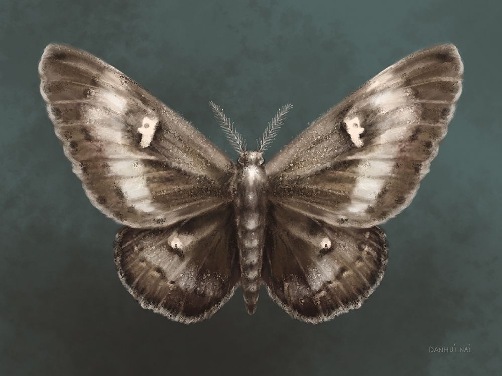 Elegant Moth I art print by Danhui Nai for $57.95 CAD