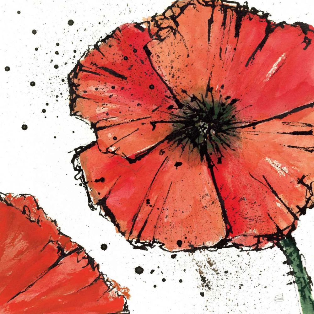 Not a California Poppy IV on White art print by Chris Paschke for $57.95 CAD